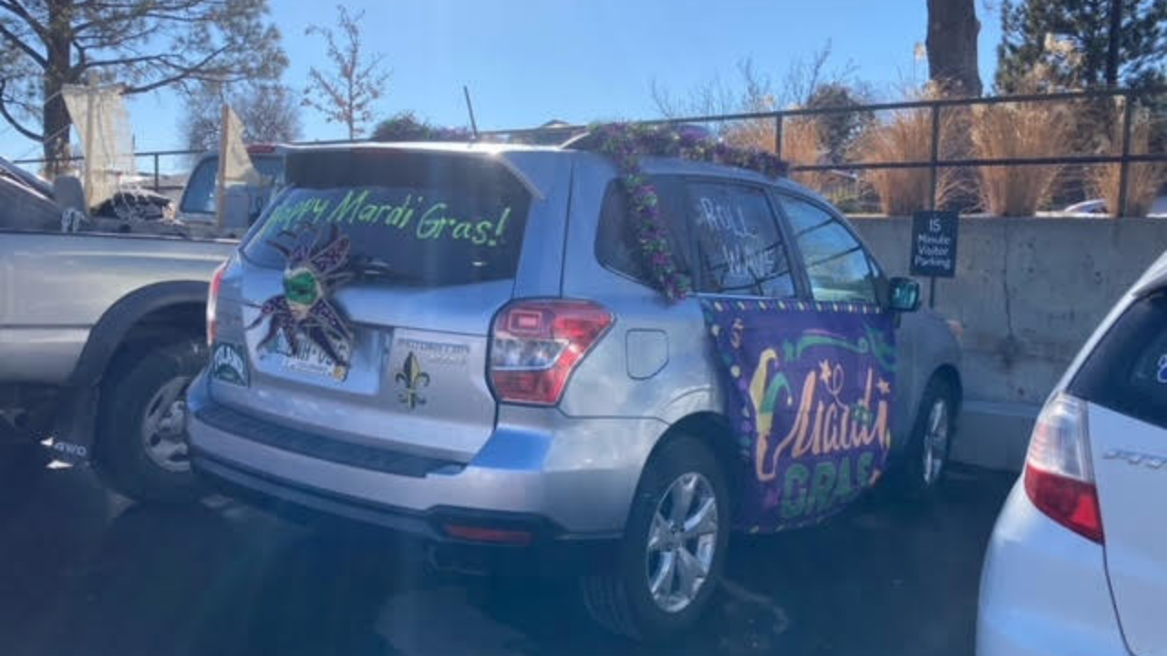 Silver car decorated in Mardi Gras Decorations 