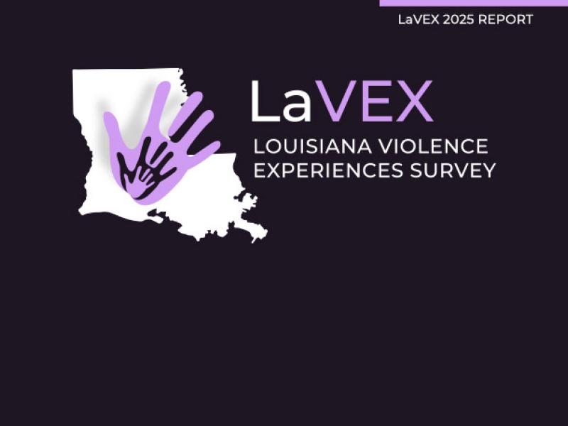 LaVEX 2025