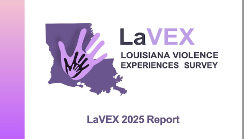 LaVEX