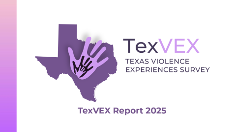 TexVEX 2025