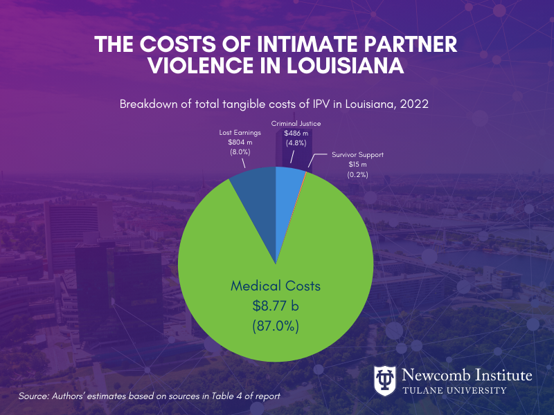 Graph with ​The Costs of Intimate Partner Violence in Louisiana -Breakdown of total tangible costs of IPV in Louisiana, 2022 - Medical Costs $8.77 b (87%) - ost Earnings  $804 m (8.0%) - Criminal Justice  $486 m (4.8%) - Survivor Support $15 m (0.2%)